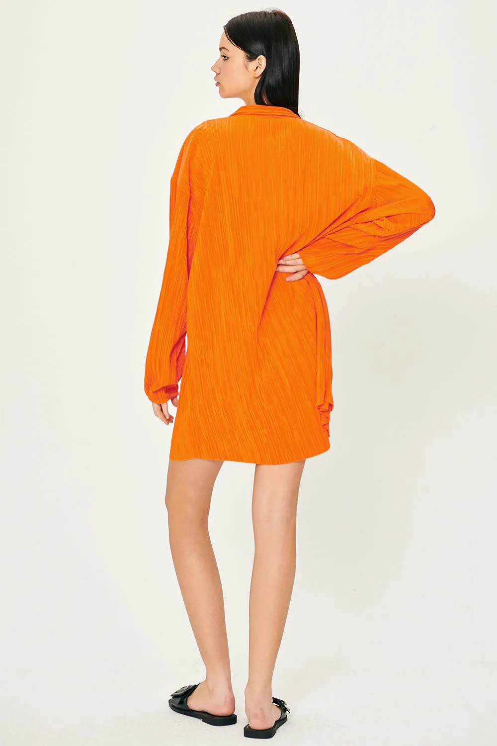 Sandra Plisse Shirt Dress