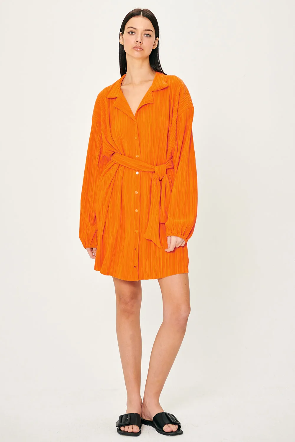 Sandra Plisse Shirt Dress