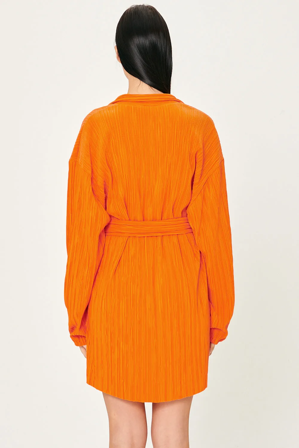 Sandra Plisse Shirt Dress