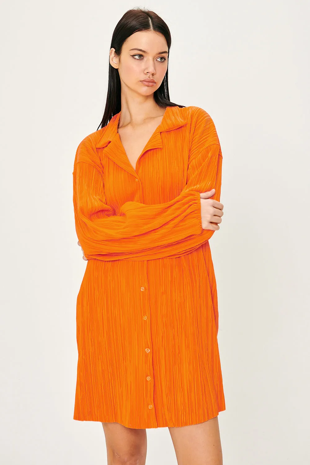 Sandra Plisse Shirt Dress